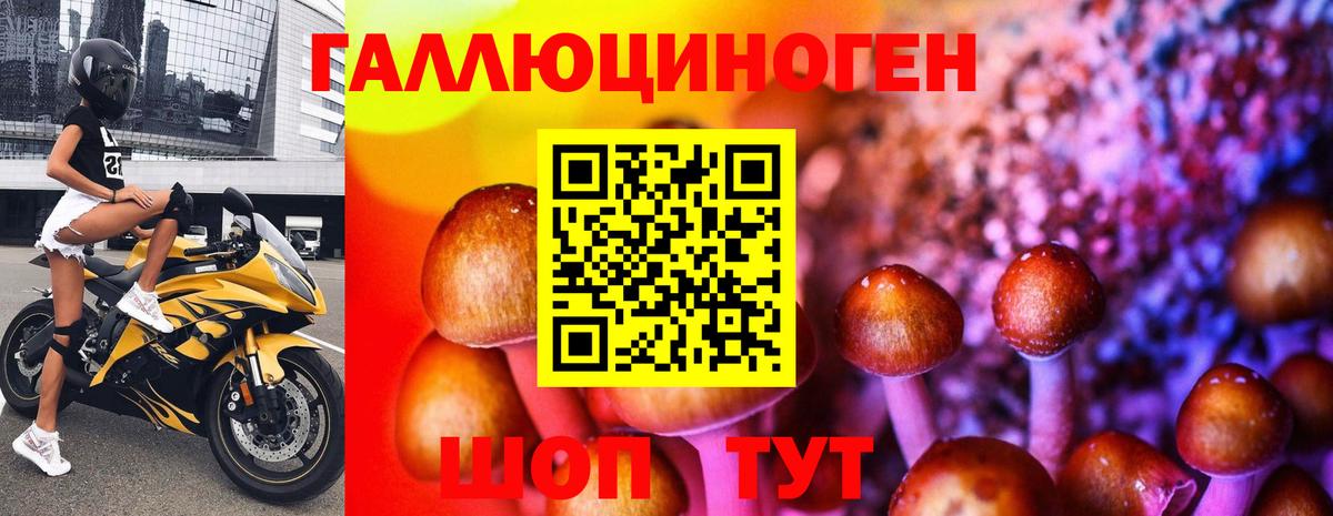 Псилоцибиновые грибы прущие грибы Норильск