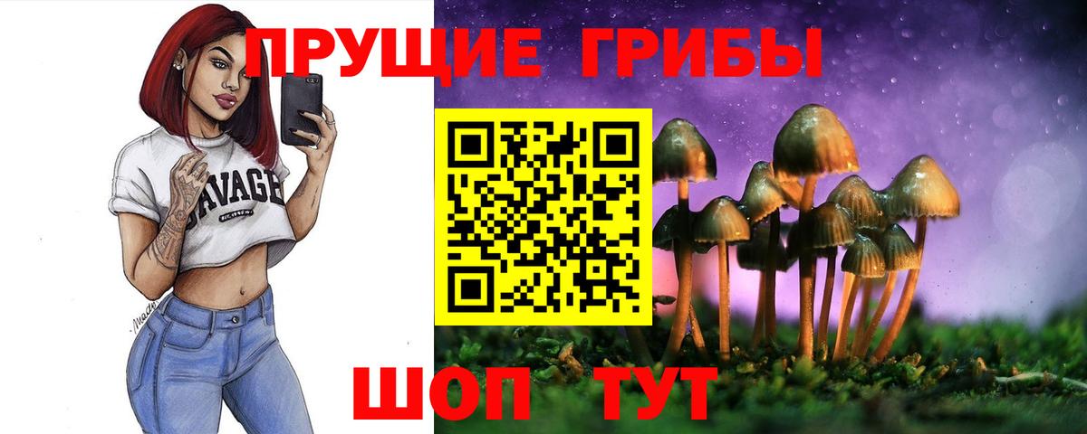Норильск  Псилоцибиновые грибы ЛСД  Вход с VPN 